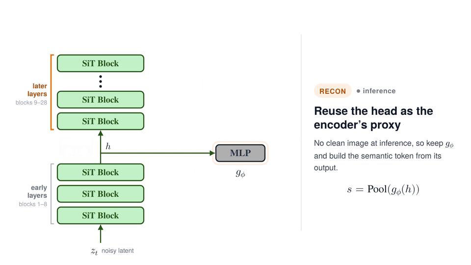 RECON inference: with no clean image, the MLP head's output is pooled into the semantic token, which is appended to the input of the later SiT blocks.