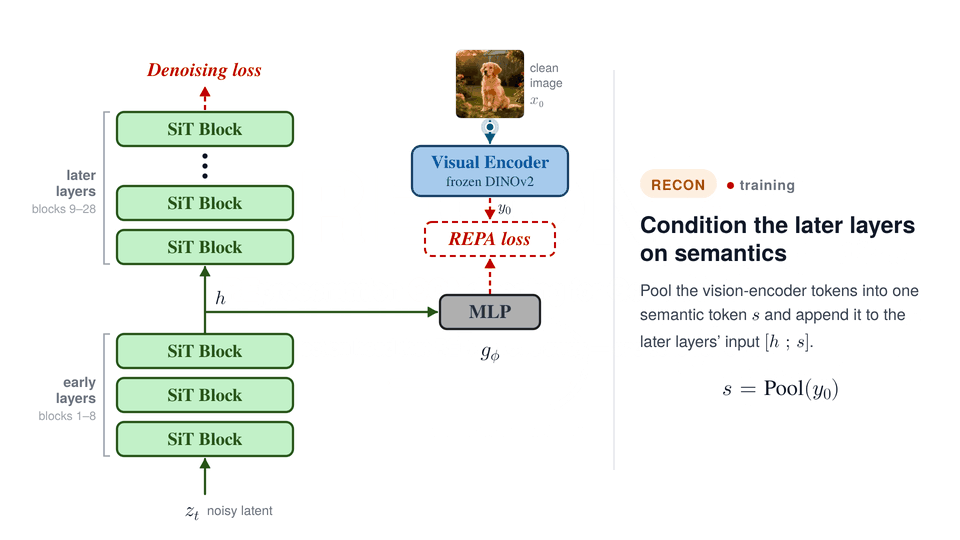 RECON training: the frozen vision encoder's features of the clean image are pooled into one semantic token, which is appended to the input of the later SiT blocks; the MLP head is still trained with the REPA loss.