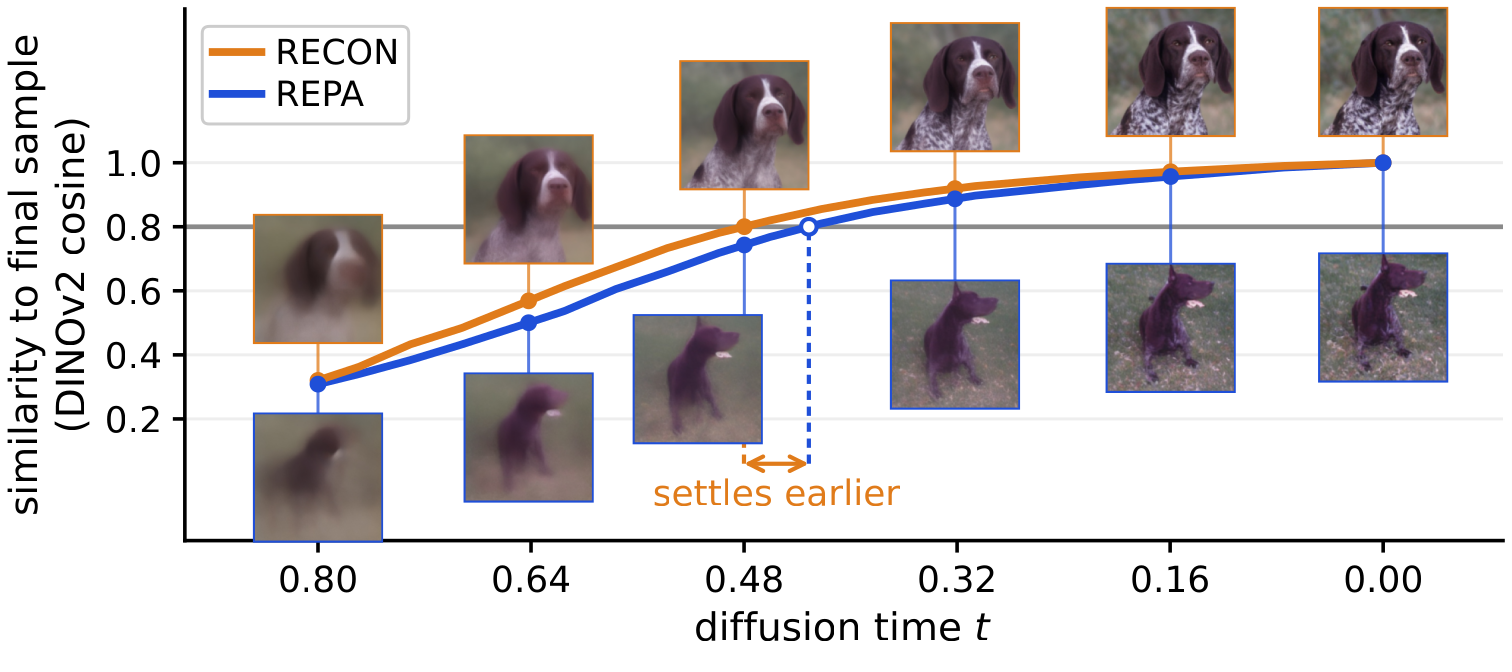 Semantic similarity to the final sample against diffusion time for one sample: RECON's curve is above REPA's at every step and crosses 0.8 earlier; thumbnails show each method's running estimate.