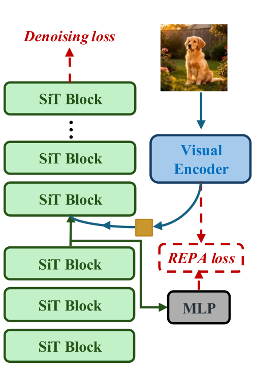 RECON training: the visual encoder output is pooled into a semantic token that is fed to the later SiT blocks, while the MLP head is still trained with the REPA loss.